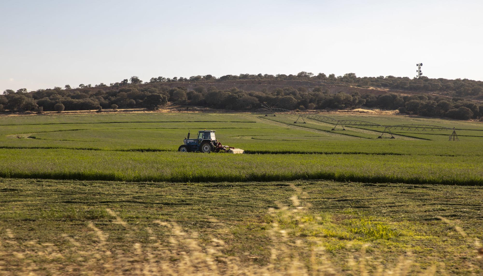 Tractor trabajando en el norte de Zamora
